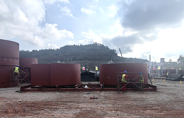 1733292529239786.jpg 通威綠材 (3).jpg